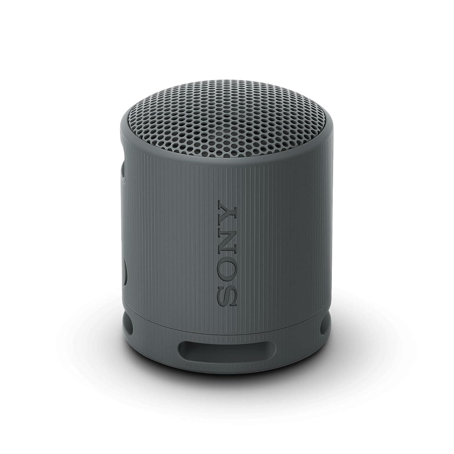 Sony SRS-XB100 Wireless Bluetooth Portable Speaker